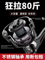 Japan imported Haiteng micro-material sea rod long cast Luya gap-free fish wheel spinning wheel All-metal stainless steel fishing line