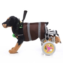 Disabled Dog Scooter Wheelchair with Handle for Small Dogs B