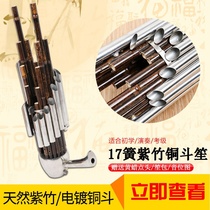 Sheng musical instrument beginner square sheng 17 Reed D-tone students round Sheng introductory expansion copper Dou Sheng adult playing professional