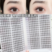 Sun Flower Lazy Trilogy Maurice Mao Jiaqi Recommended for False Simulation of Fairy