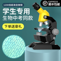 Childrens electron microscope high-definition biology professional Primary School students 1200 times super-clear middle school students science and education science experiment mobile phone handheld optical portable 10000 times home