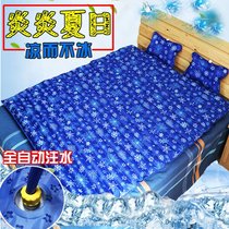Water mattress water mat dormitory single water bed double household summer day old man anti-bedsore cooling ice pad water mattress