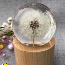 Dandelion lamp crystal ball to send girlfriend girlfriends teacher classmates graduation season Tanabata Christmas creative gifts