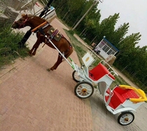 Vintage with splint horse cover tourist carriage horse cover harness carriage accessories vintage Trojan horse set pull car
