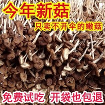 (Hot sale)1 kg of tea tree mushroom farm specialty dry goods new goods Gutian fresh tea tree mushroom shiitake mushroom soup