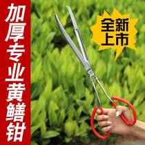 Yellow eel clip thickened lengthened anti-slip eel clip stainless steel catch crab loach pliers catch-up to sea-long fish catcher