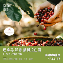 CoffeeBuff Competition Class Panama Deborah Deborah Rose Summer Geisha Coffee Bean 50g