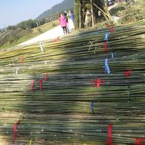 Outdoor bamboo slim long festival 2 5 Rice nongjiale bamboo pole 2 m 2 3 m bamboo stick bamboo stick bamboo garden Garden