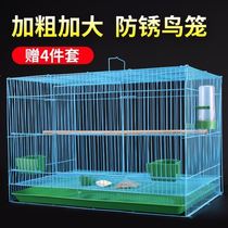 King-size birdcage birdcage large group of parrots dedicated partridge breeding household breeding luxury villa