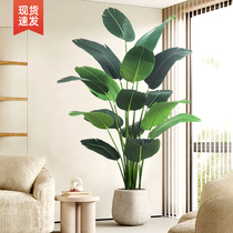 Simulation green plant fake plant light luxury living room decoration tree indoor large potted plant floor decoration bird of paradise simulation flower