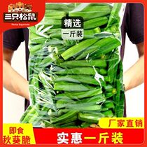 Three squirrels dry okra ready-to-eat fruit and vegetable crisp snacks vegetable crisp nutrition delicious vf children maternity Net red dehydration