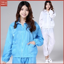 Anti-static split suit dust-free clothes suit blue and white zipper short jacket electronics factory dust-proof mens and womens overalls