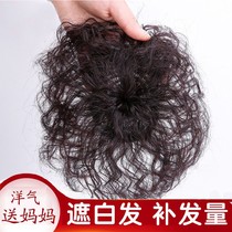 Cover white hair small curly hair wig female head cover white hair wig simulation hair top head replacement film Female one piece light