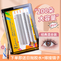 Clear Sky Doodle Eyelash Emulation Uni-Cluster A Type Fish Tail Fairy Hair Natural Subsection New Hand Graft Self-Glued Eyelash Eyelash