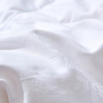 Pure silk goat 100% pure lamb suede quilt Spring and autumn winter quilt Thickened Single T Biathu Fur Quilted by Core