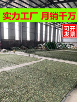 Anti-aerial photography camouflage net green sunscreen cover shading outdoor camouflage sunshade net cloth green net anti-counterfeiting net
