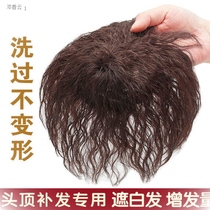 White hair small curly hair wig top head replacement block corn hot wig piece short curly hair cover white hair fluffy lady