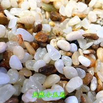 Pebble natural small jade rain flower stone multi-meat paved surface fish with fish in flower pot to decorate flowers