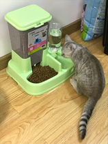 Cat Goods Automatic Feeder Cat Bowl Self-Feeder Pet Drinking Water Pitcher Dog Bowls Dog Supplies