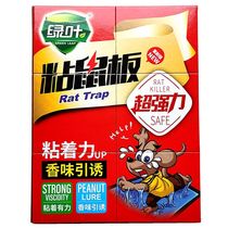 Green Leafy Cardboard Rat Stickler Strong Stickrat Board Solid Mousetrap Good Able Hand Home Kitchen Mousetrap Foldable