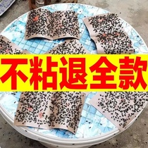 (Sticky Fly Mosquito-killing Special) Fly post powerful adhesive paper Mosquito Killer Trap Killer of Drosophila Insect Killer