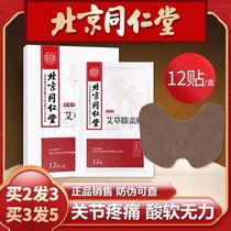(Beijing Tongrentang) Spring Festival does not close wormwood knee joint pain paste old cold leg knee pads hot paste