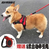 Dog Traction Rope Vest Style Walking Dog Chain Sub Teddy Fou Köki Medium-sized Dog Small Dog Pets With Chest Braces