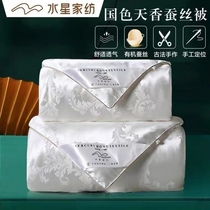 Water Star Silk Quilt 100% Mulberry Silk Handmade Spring Autumn Quilt Core Summer Cool Air Conditioning Quilt by Winter