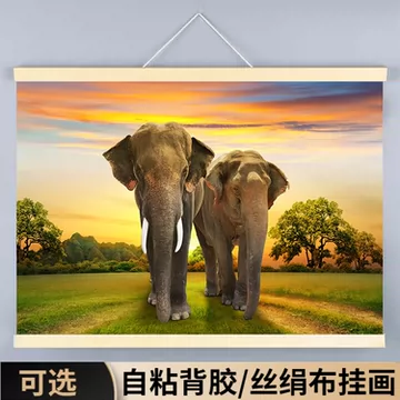 大象壁画挂画-大象壁画挂画促销价格、大象壁画挂画品牌- 淘宝