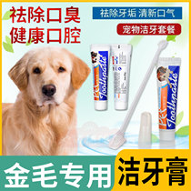 Golden hair special dog toothbrush set with odor and taste for pet toothbrush fingertooth jacket common use