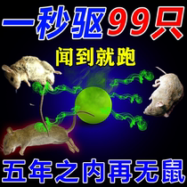 Rat repellent) Exorrat Indoor Home Super Power Spray Mice One Nest End Rat Water