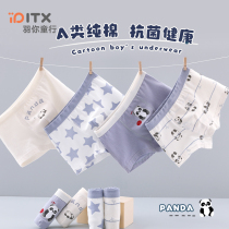 Childrens underwear cotton boy boxer pants head boy cotton boxer shorts small child briefs boy baby flat pants