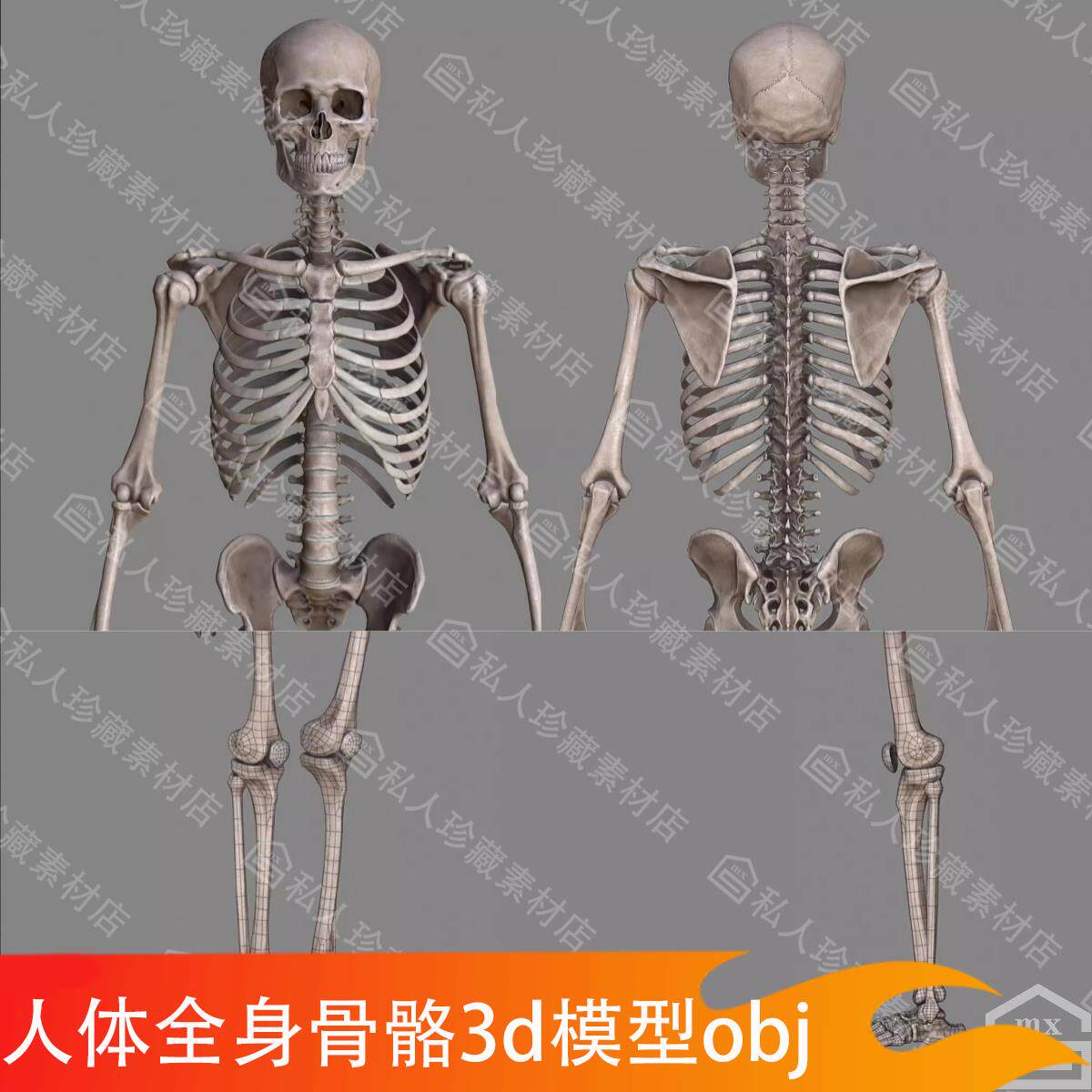 骷髅骨架模型-骷髅骨架模型促销价格、骷髅骨架模型品牌- 淘宝