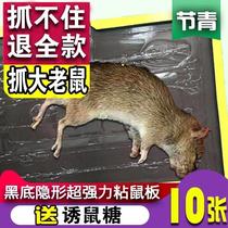 10 pieces of peanut taste with large mouse sticker powerful stick mouse plate super-stick plate plus bait glue post paper home L