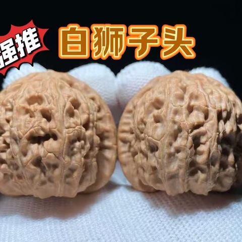 闷尖白狮子头精选和闷尖白狮子头品牌价格与图片-淘宝商品网