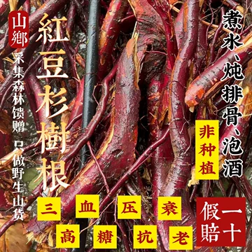 紅豆杉 楽天市場】紅豆杉茶の通販