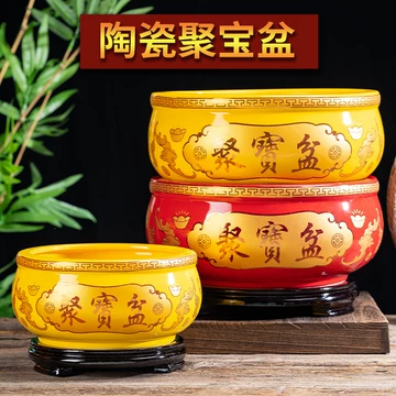 聚宝盆 聚宝盆招财绿植-聚宝盆招财绿植促销价格、聚宝盆招财绿植品牌- 淘宝