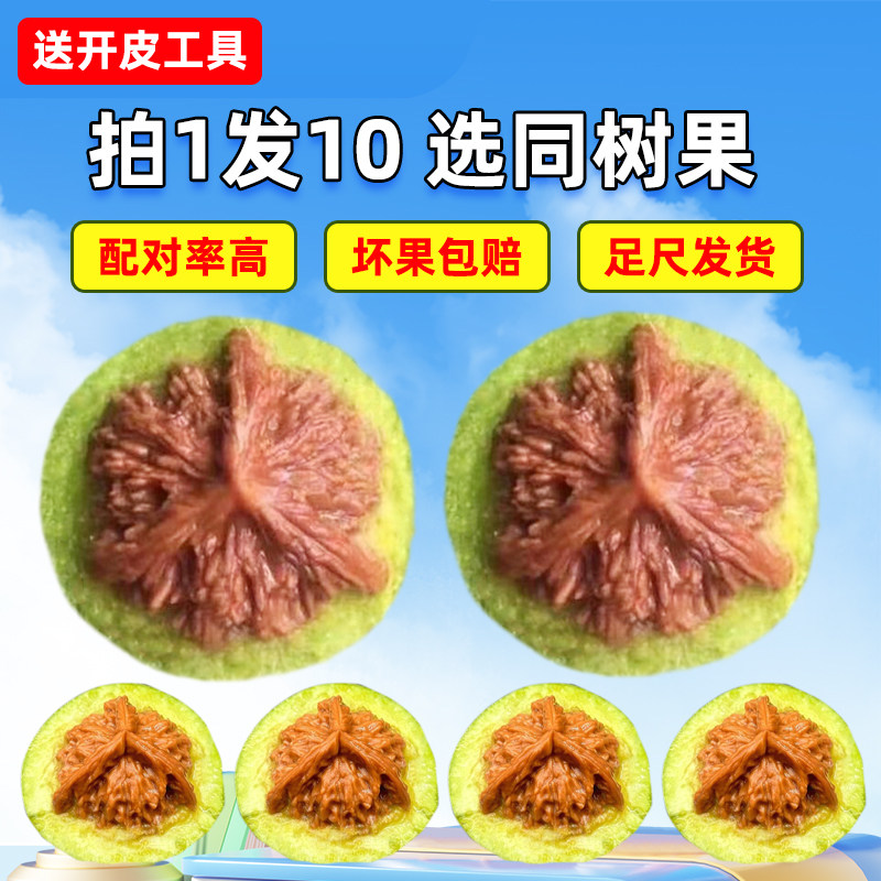 龙纹文玩核桃-龙纹文玩核桃促销价格、龙纹文玩核桃品牌- 淘宝