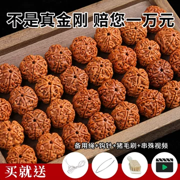 文玩核桃の銘品「大粗筋」 大粗筋文玩核桃-大粗筋文玩核桃促销价格、大粗筋文玩核桃品牌- 淘宝