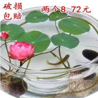 水培玻璃花瓶透明碗莲荷花铜钱草盆缸养睡莲盆缸碗莲盆铁树专用盆