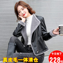 Haining leather leather fur one-piece coat womens short winter Korean version slim lamb fur turf jacket tide