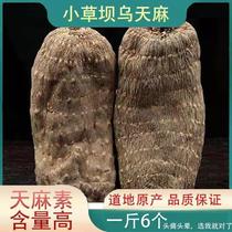 Zhaotong Dawu Tianma King 500g fresh natural sun dried Yunnan Tianma is not wild premium powder