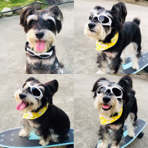 Pet glasses dog sun glasses sunglasses wind method bucket Corgi Teddy small dogs ski goggles foldable