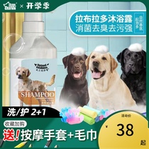  Labrador special dog shower gel sterilization deodorization long-lasting fragrance antipruritic pet bath liquid dog supplies