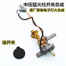 Fire stove electronic switch assembly LPG single tube medium pressure fire furnace valve body all copper ignition stove accessories