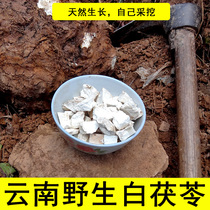 Yunnan wild white Poria Cocos 2000 grams of Chinese herbal medicine Tongrentang Fuling block to remove wet gas natural farm powder