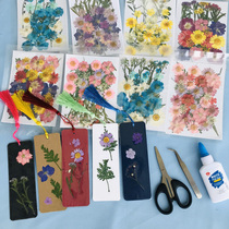 Self-made bookmark diy material package students handmade plant dried flower specimen embossed creative art flower