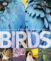 DK Illustrated Encyclopedia dian zi shu deng