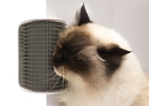 (Lucky native cat) Canadian Meow Dorahagen corner rub face scratching massage comb