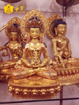 Longevity Buddha Statue Buddha statue Nepal Sakya Boutique Golden Longevity Buddha A Ruler 5 High 44cm Precision Industry